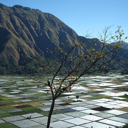 Rinjani Green Park Syariah Hotel Sembalunlawang Exterior foto