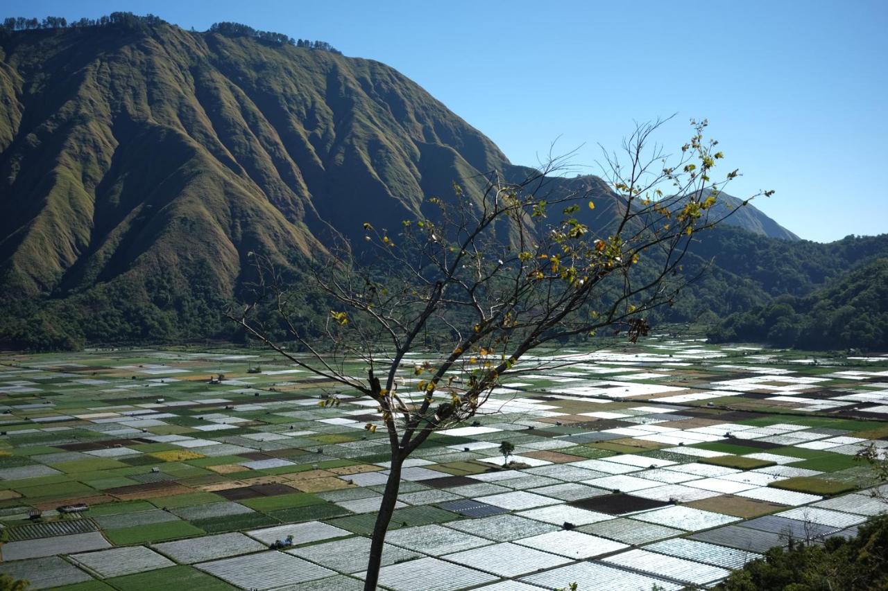 Rinjani Green Park Syariah Hotel Sembalunlawang Exterior foto